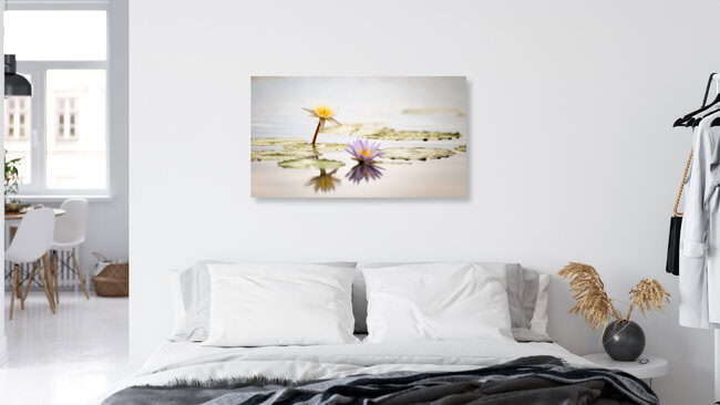 Seerosen Monet, Botswana – Fotokunst von Dennis Wehrmann als Poster oder Acrylglasbild