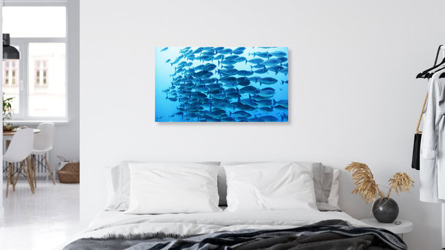 Im blauen Fischschwarm, Indonesien – Fotokunst von Eva Lorenbeck als Poster oder Acrylglasbild