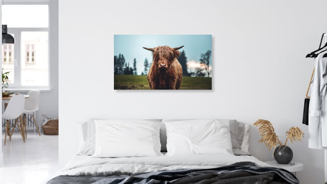 Galloway Rind auf der grünen Weide, Österreich – Fotokunst von Lars Schmucker als Poster oder Acrylglasbild