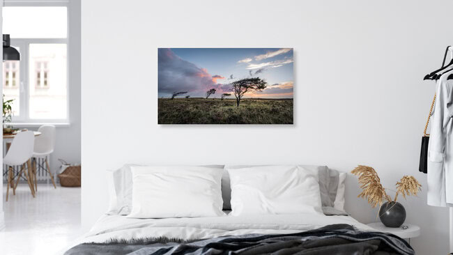 Braderuper Heide | Sylt, Germany – wall art by Ronny Behnert as Poster or Acrylic Glass Print