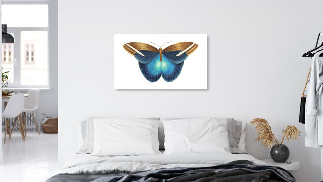 Wandbild 'Idomeneus' – Kunst von Vintage Nature Graphics als Poster oder Acrylglasbild