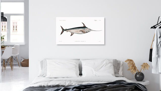 'Le Regne Animal: Swordfish' – Wall Art by Vintage Nature Graphics as Poster or Acrylic Glass Print