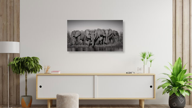Group of elephants at the mighty Zambezi, Zambia – wall art by Dennis Wehrmann as Poster or Acrylic Glass Print