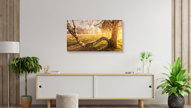 Morgenstimmung im Spätsommer, Deutschland – Fotokunst von Nils Steiner als Poster oder Acrylglasbild