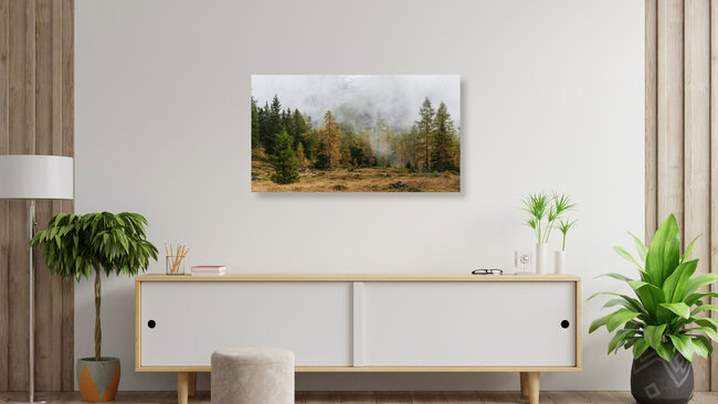 Mystischer Wald, Switzerland – wall art by Rainer Kohlrusch as Poster or Acrylic Glass Print