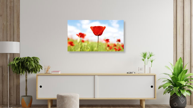 Rote Mohnblumen, Deutschland – Fotokunst von Manuela Deigert als Poster oder Acrylglasbild