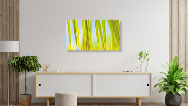 Palmblätter abstrakt, Moorea Island, Südsee, Französisch-Polynesien – Fotokunst von Ursula Fleiß, Foto - Fuks als Poster oder Acrylglasbild