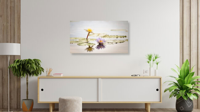 Seerosen Monet, Botswana – Fotokunst von Dennis Wehrmann als Poster oder Acrylglasbild