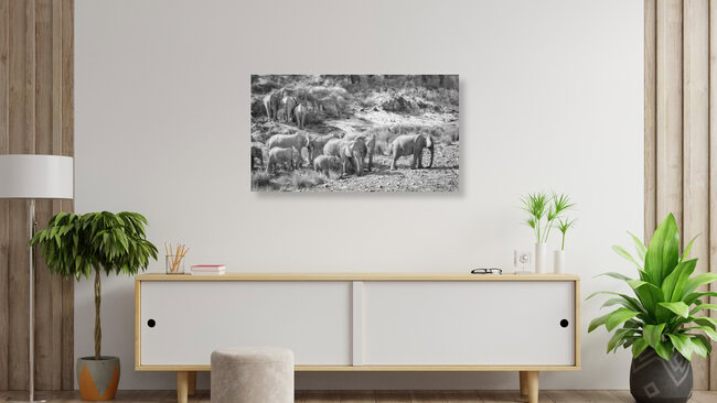 Elefantenfamilie im Aub Canyon in der Palmwag Concession in Namibia, Namibia – Fotokunst von Dennis Wehrmann als Poster oder Acrylglasbild