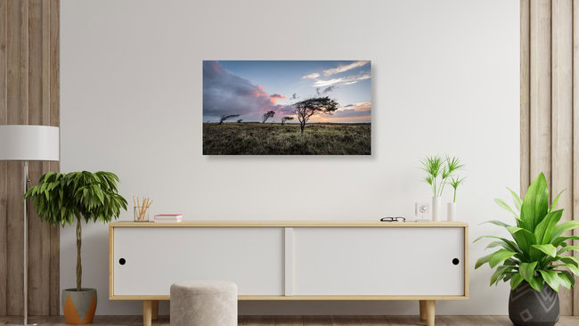Braderuper Heide | Sylt, Germany – wall art by Ronny Behnert as Poster or Acrylic Glass Print