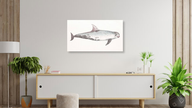 'Vintage Illustration Whale' – Wall Art by Vintage Nature Graphics as Poster or Acrylic Glass Print