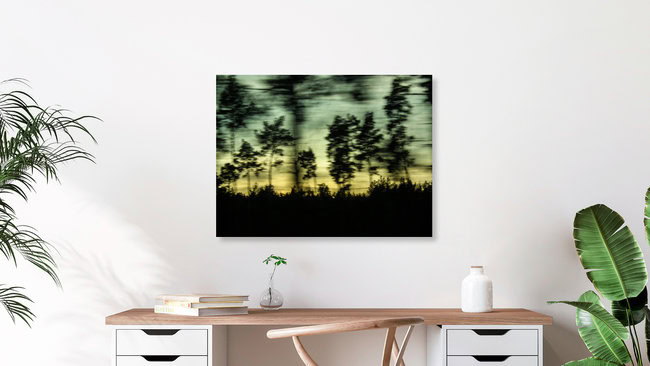 treescape, Deutschland – Fotokunst von Christiane Wilke als Poster oder Acrylglasbild
