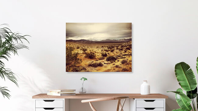 Desert #8, Vereinigte Staaten – Fotokunst von Michael Brandone als Poster oder Acrylglasbild