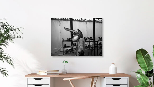 The birdman, Greece – wall art by Nasos Zovoilis as Poster or Acrylic Glass Print