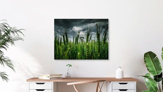 The Storm, United States – wall art by Greg Hogan as Poster or Acrylic Glass Print
