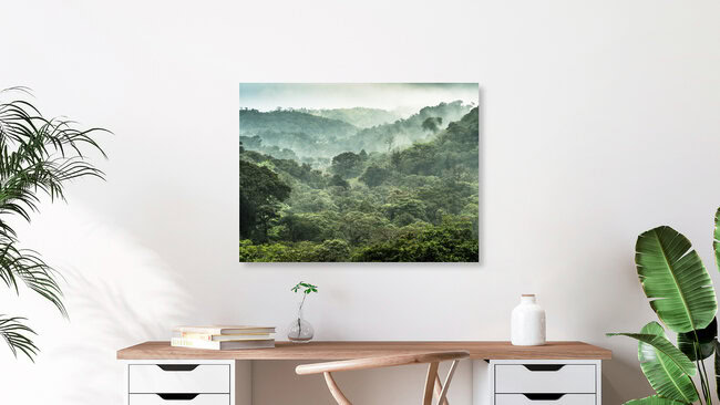 Der Nebelwald von Monteverde 2, Costa Rica – Fotokunst von Johann Oswald als Poster oder Acrylglasbild