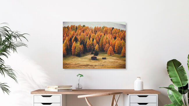 Army Of Larches, Italy – wall art by Gergo Kazsimer as Poster or Acrylic Glass Print