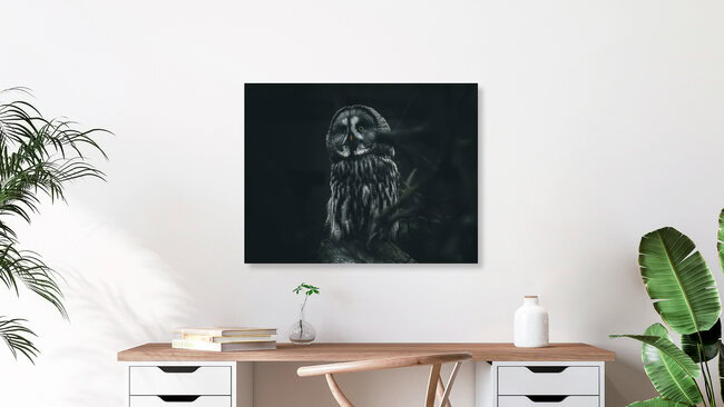 Wizard Owl, Deutschland – Fotokunst von Quentin Strohmeier als Poster oder Acrylglasbild