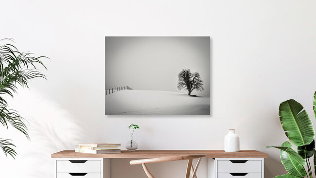 ein Baum und ein Zaun, Österreich – Fotokunst von Bernd Grosseck als Poster oder Acrylglasbild