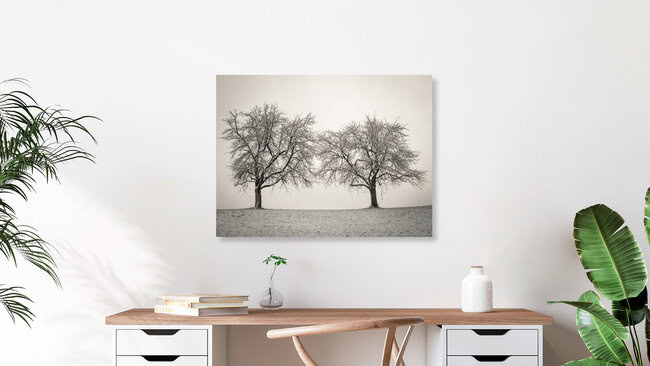 Zwei Winterbäume, Österreich – Fotokunst von Bernd Grosseck als Poster oder Acrylglasbild