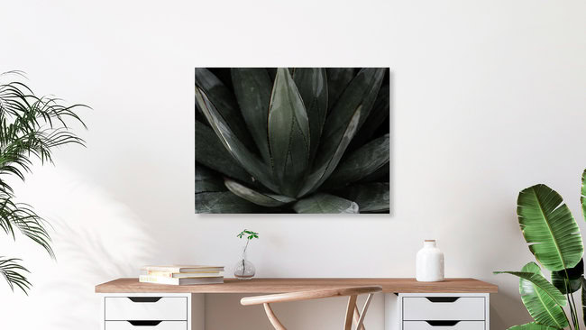 Garden by the Ocean, Vereinigte Staaten – Fotokunst von Vera Mladenovic als Poster oder Acrylglasbild