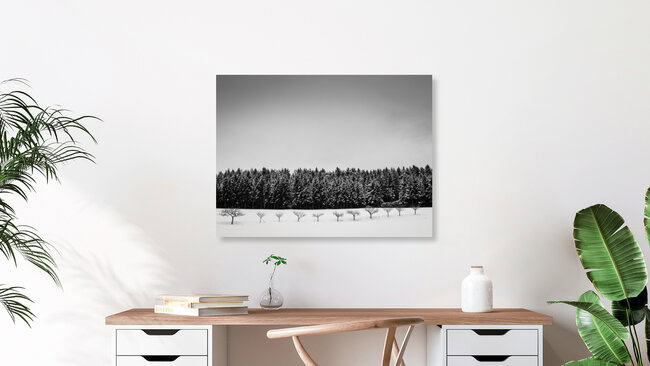 Baumreihe im Winter, Österreich – Fotokunst von Bernd Grosseck als Poster oder Acrylglasbild