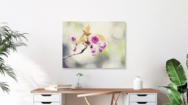 Kirschblüten, Deutschland – Fotokunst von Nadja Jacke als Poster oder Acrylglasbild