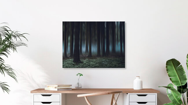 Märchenwald, Deutschland – Fotokunst von Sonja Lautner als Poster oder Acrylglasbild