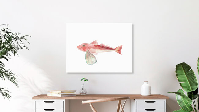 Wandbild 'Sea Life - Gurnard' – Kunst von Christina Wolff als Poster oder Acrylglasbild