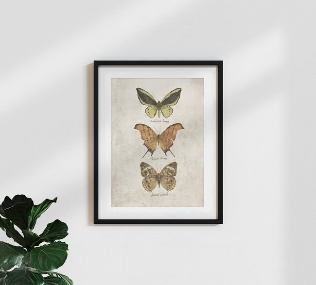 'Butterflies III' – Wall Art by Mike Koubou as Poster or Acrylic Glass Print