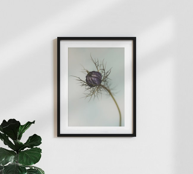 Maiden in the countryside, Germany – wall art by Manuela Deigert as Poster or Acrylic Glass Print