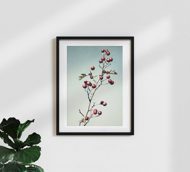Berry branch, Germany – wall art by Manuela Deigert as Poster or Acrylic Glass Print