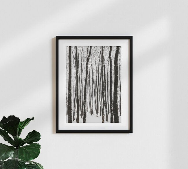 monochrome Eiszeit II, Deutschland – Fotokunst von Heiko Gerlicher als Poster oder Acrylglasbild