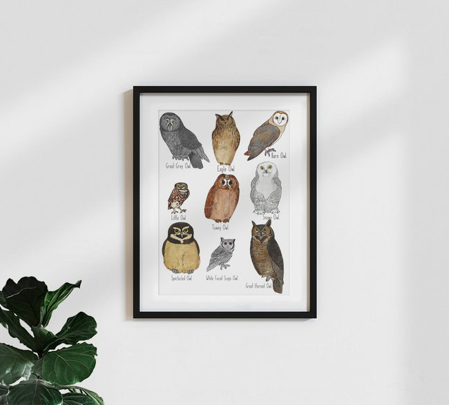 Wandbild 'Types of Owls' – Kunst von Katherine Blower als Poster oder Acrylglasbild