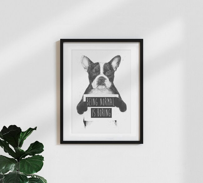 Wandbild 'Being normal is boring' – Kunst von Balazs Solti als Poster oder Acrylglasbild