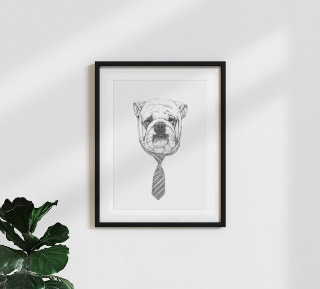 Wandbild 'Cooldog' – Kunst von Balazs Solti als Poster oder Acrylglasbild