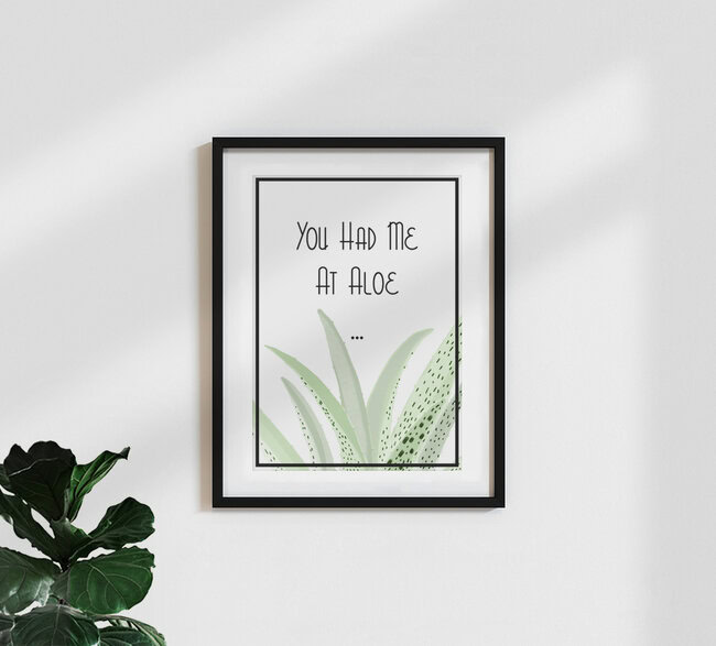 Wandbild 'You had me at aloe' – Kunst von Katherine Blower als Poster oder Acrylglasbild