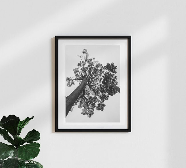 Japanese Garden, South Africa – wall art by Shot By Clint as Poster or Acrylic Glass Print