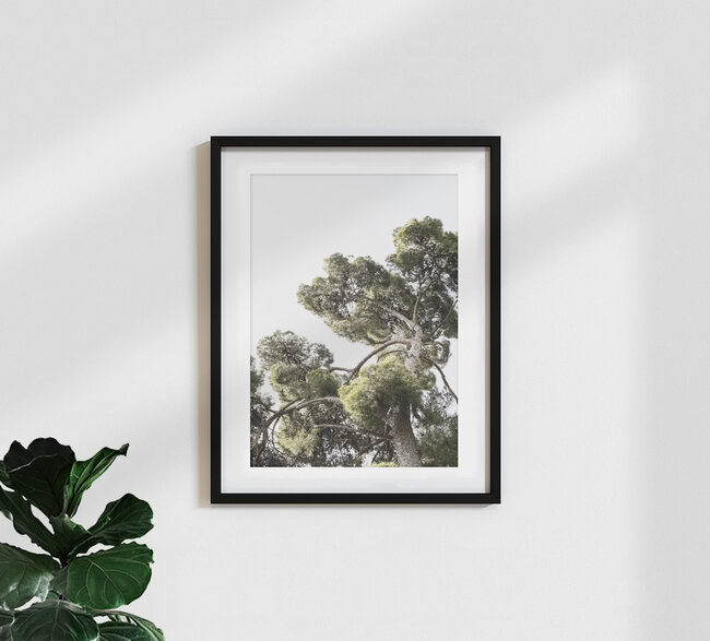 Japanese Garden 1, Japan – wall art by Shot By Clint as Poster or Acrylic Glass Print