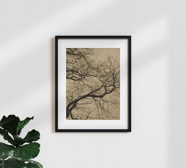 golden houre abstract branches, Germany – wall art by Studio Na.hili as Poster or Acrylic Glass Print