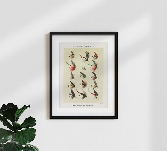 'Mary Orvis Marbury: Trout Flies' – Wall Art by Vintage Nature Graphics as Poster or Acrylic Glass Print