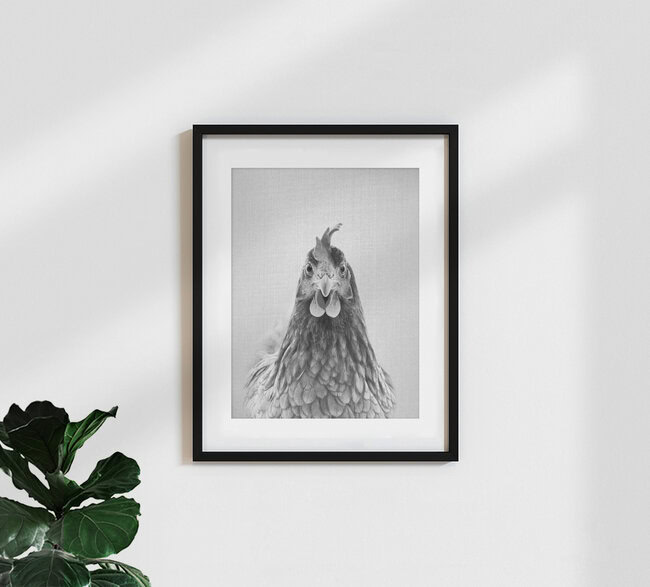 Chicken - Black & White, Israel – Fotokunst von Gal Pittel als Poster oder Acrylglasbild