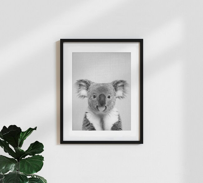 Koala - Black & White, Israel – Fotokunst von Gal Pittel als Poster oder Acrylglasbild