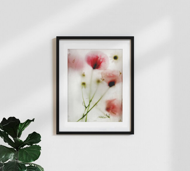 la fleur congelée # 05 Photocircle Ed., Deutschland – Fotokunst von Daniel Theus als Poster oder Acrylglasbild