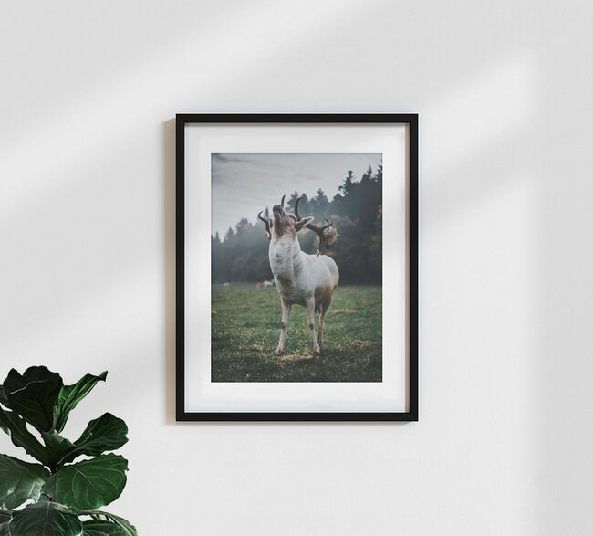 Poser, Germany – wall art by Dominic Lars as Poster or Acrylic Glass Print