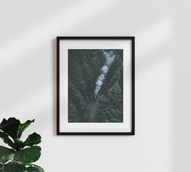 Forest Train, Deutschland – Fotokunst von Luca Jaenichen als Poster oder Acrylglasbild