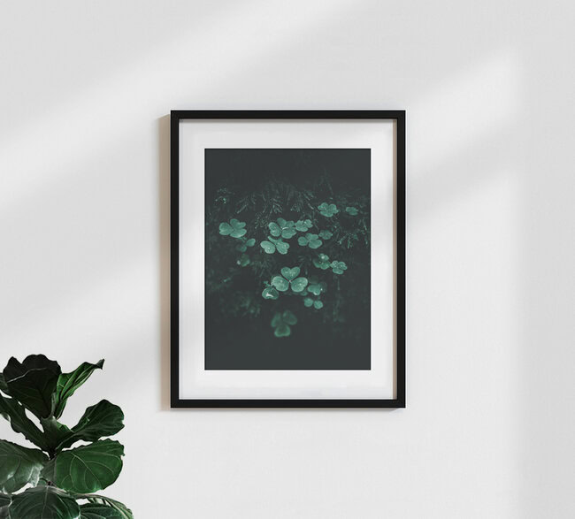 Dark Green, Deutschland – Fotokunst von Luca Jaenichen als Poster oder Acrylglasbild