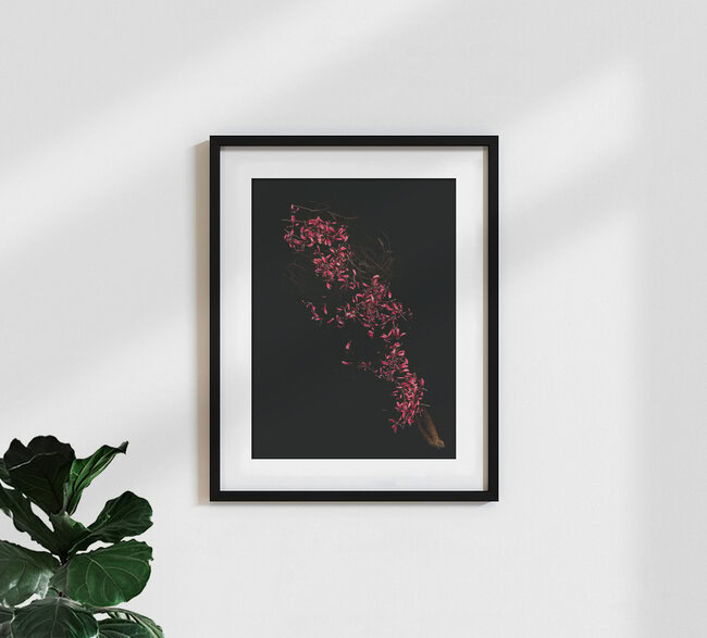 candyfloss, Germany – wall art by Ramona Reimann as Poster or Acrylic Glass Print