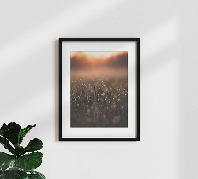 Morning Dew, Germany – wall art by Gergo Kazsimer as Poster or Acrylic Glass Print