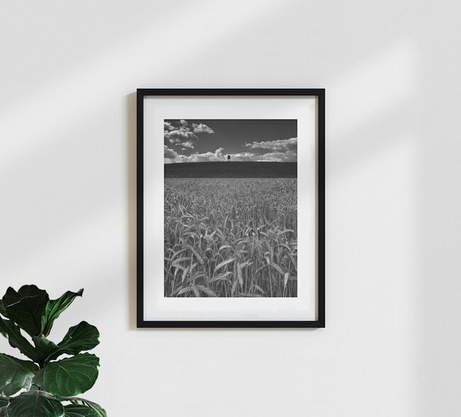 Getreidefeld im Sommer, Deutschland – Fotokunst von Ernst Pini als Poster oder Acrylglasbild
